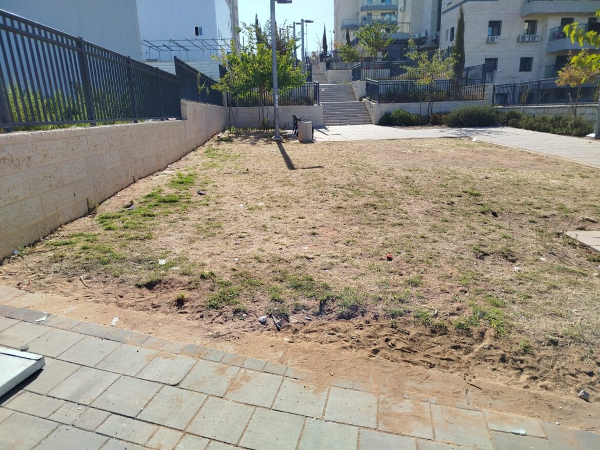 IMG-20251026-WA0046(1)